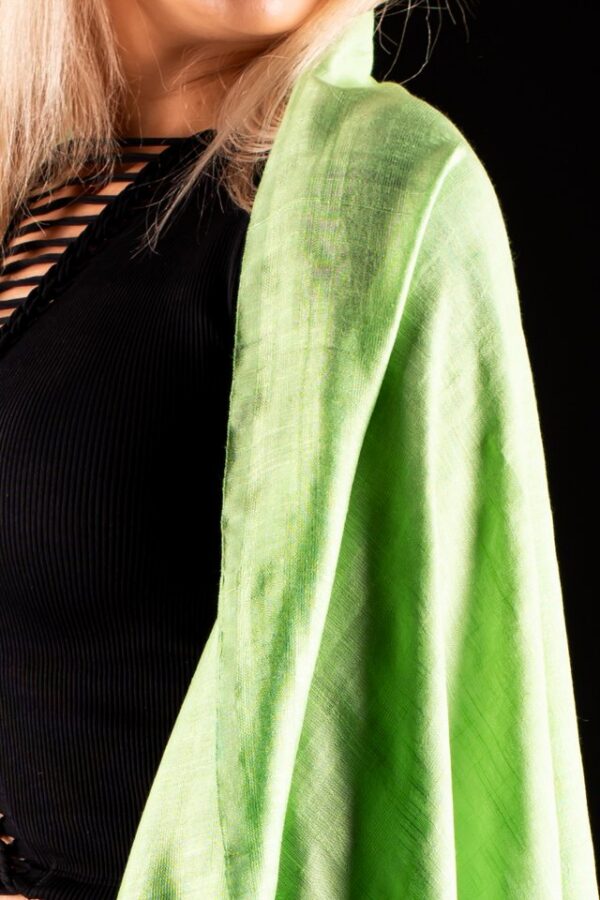 Ethnic Charm Cashmere Shawl